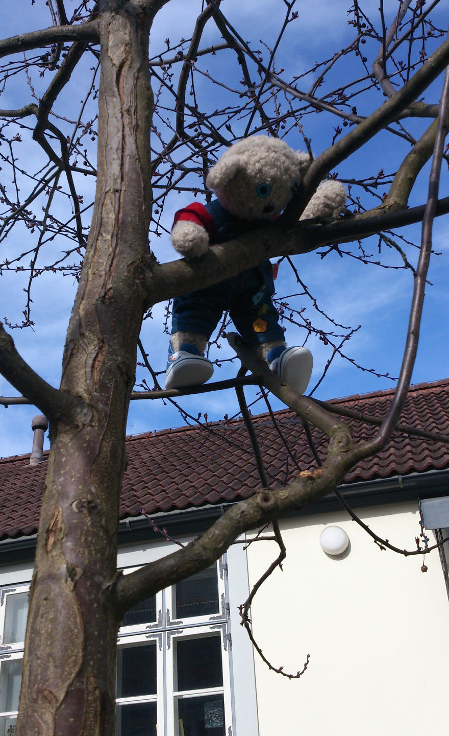 20 Things To Do Every Day To Make You As Happy As A Teddy