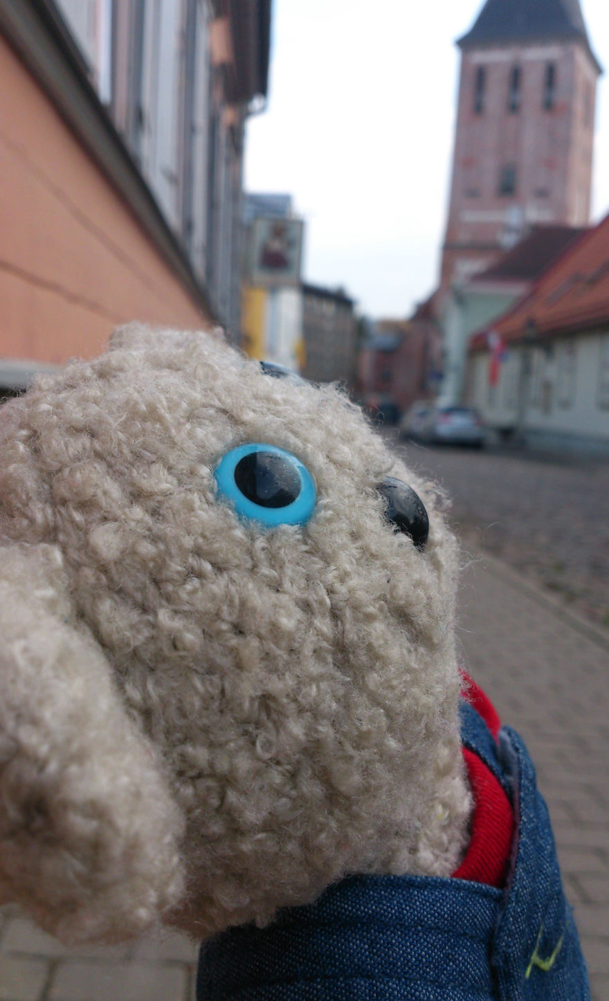 20 Things To Do Every Day To Make You As Happy As A Teddy