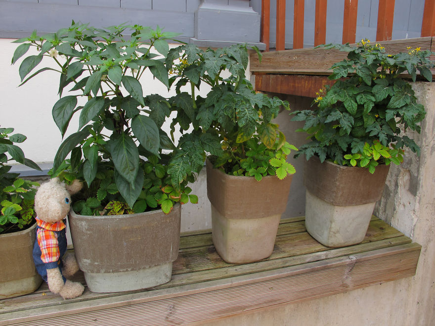 20 Things To Do Every Day To Make You As Happy As A Teddy