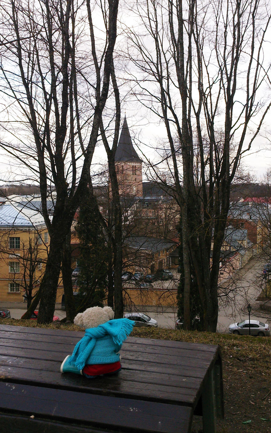 20 Things To Do Every Day To Make You As Happy As A Teddy