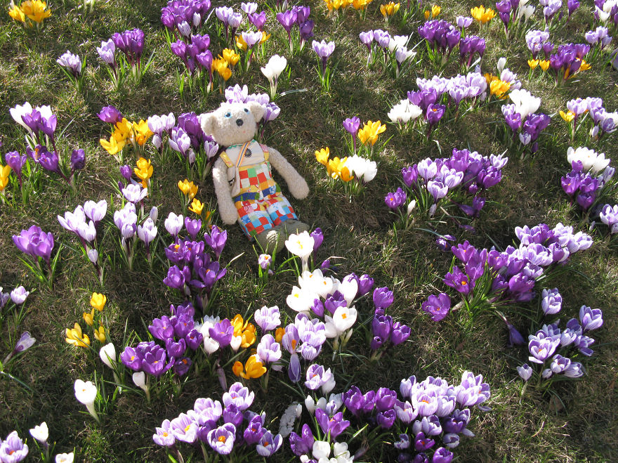 20 Things To Do Every Day To Make You As Happy As A Teddy