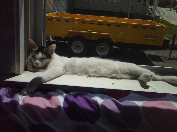 My Little Model Lucy