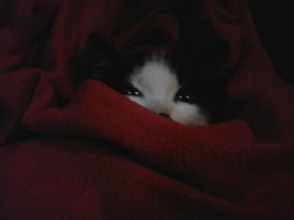 Dixi Feels So Good Under That Cosy Housecoat