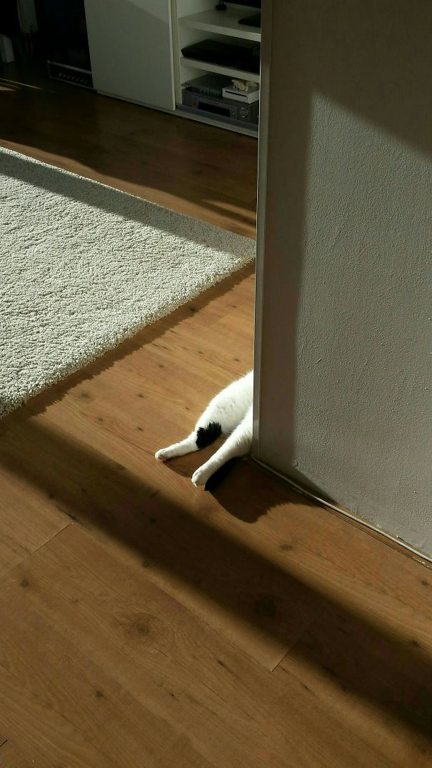 Sunbathing Or Crime Scene?