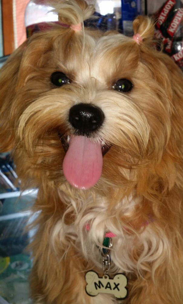 Cutie Max , 4.5 Months