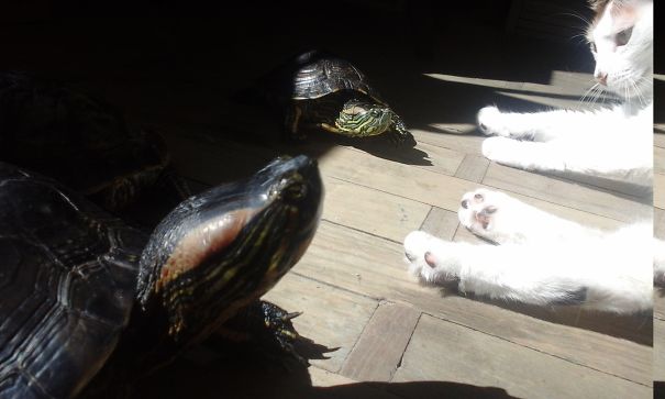 Nevermind, We Can Share