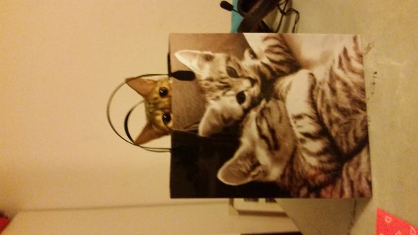 Match Made In Heaven