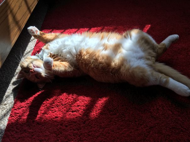 Tummy Suntanning