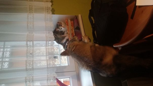 She Never Uses The Pillow.