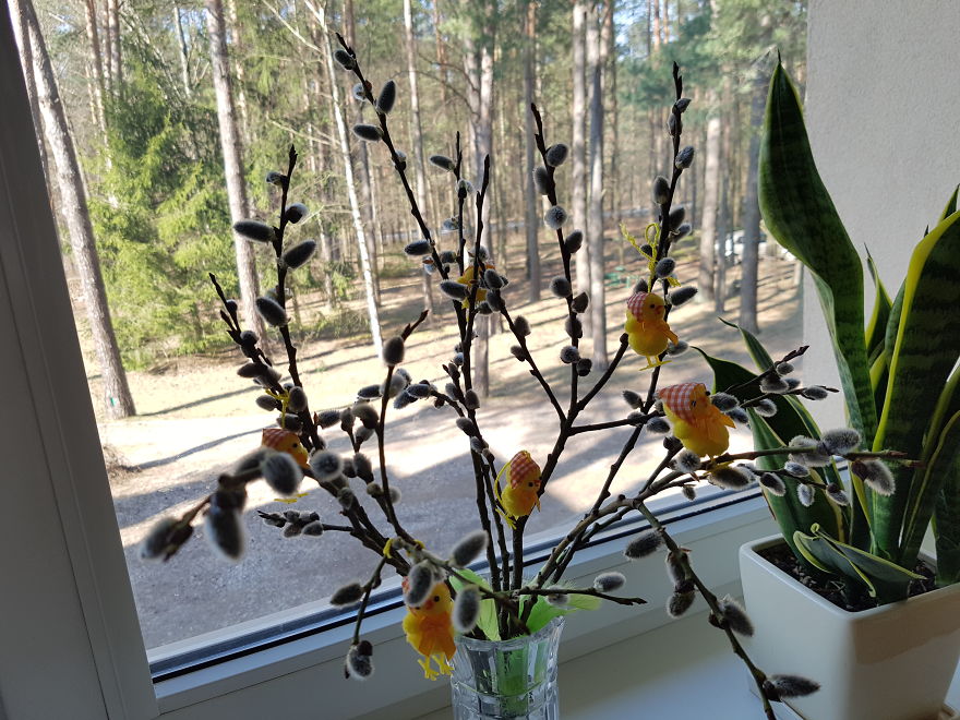 I Can Smell The Spring...