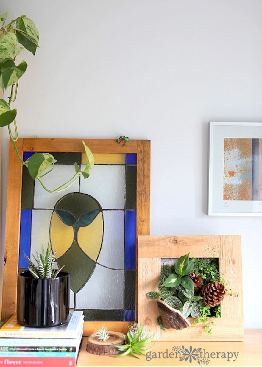 Living Flower Wall Frame