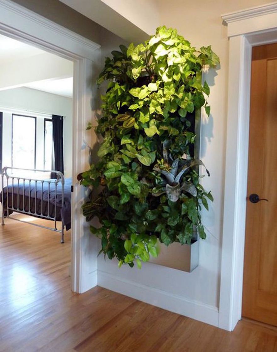 Living Wall Garden