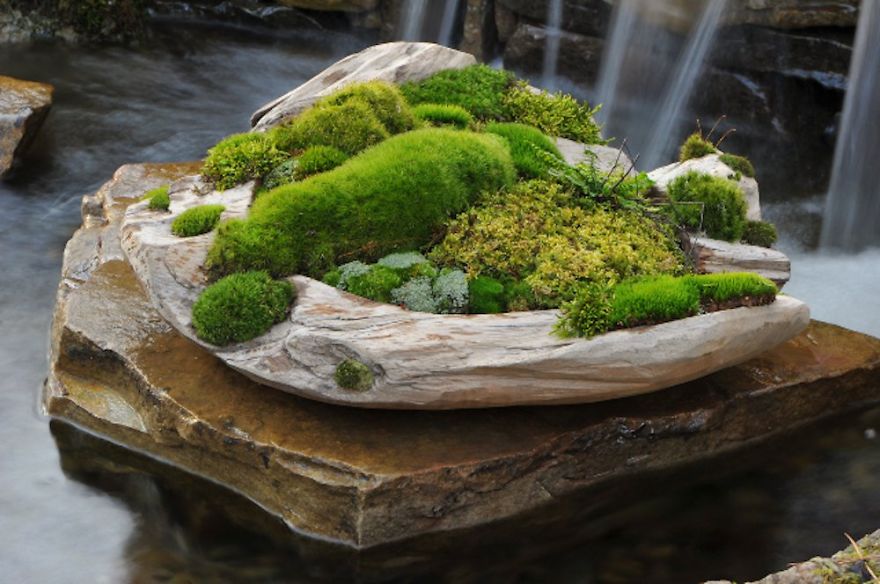 Moss And Stone Garden