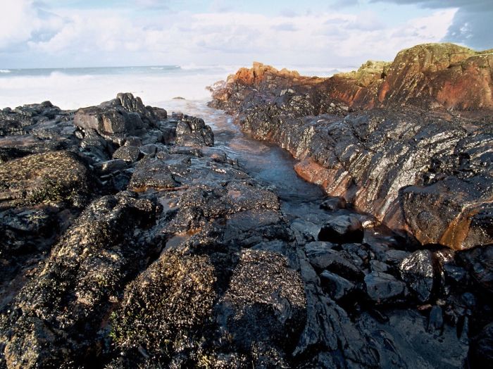 27 Photos Of Pollution To Show Us To Act More Eco Friendly 27 Photos Of Pollution To Show Us To Act More Eco Friendly