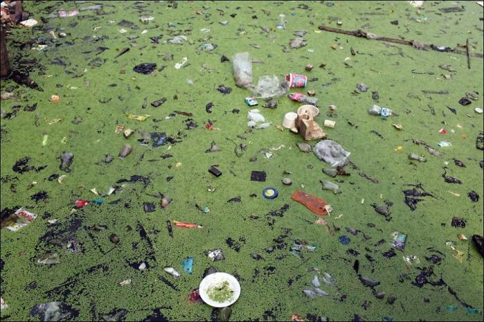 27 Photos Of Pollution To Show Us To Act More Eco Friendly 27 Photos Of Pollution To Show Us To Act More Eco Friendly