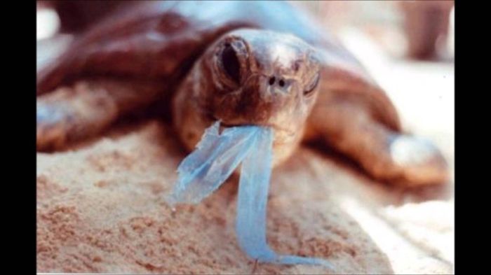 27 Photos Of Pollution To Show Us To Act More Eco Friendly