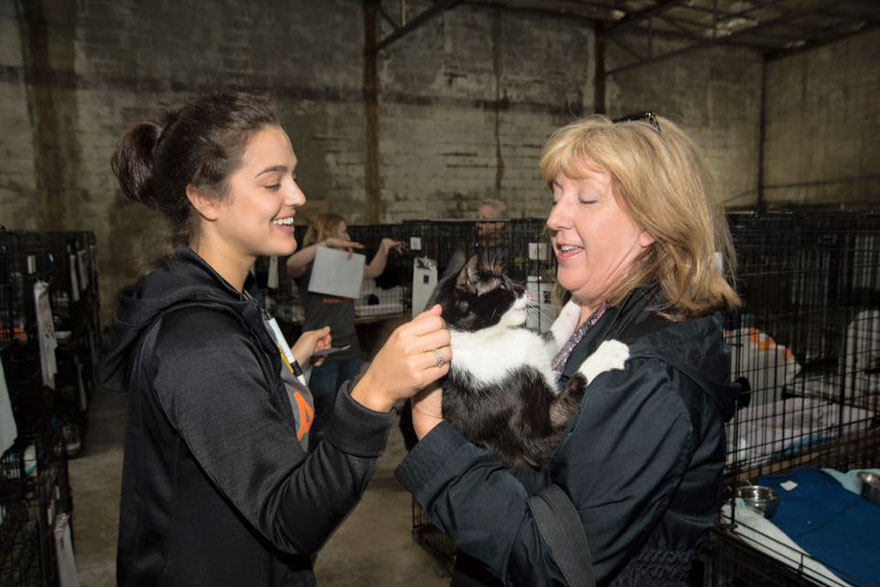 524-cats-dogs-adopted-adoption-event-aspca-11