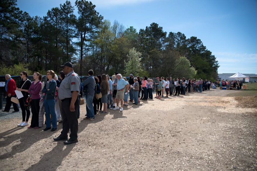 524-cats-dogs-adopted-adoption-event-aspca-4 524-cats-dogs-adopted-adoption-event-aspca-4