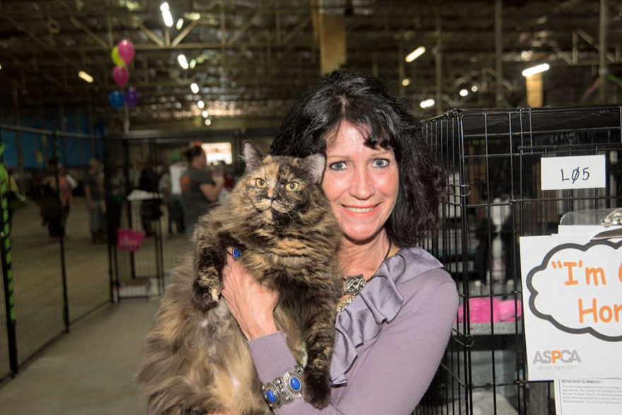 524-cats-dogs-adopted-adoption-event-aspca-5