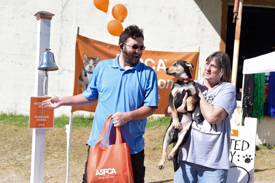 524-cats-dogs-adopted-adoption-event-aspca-8