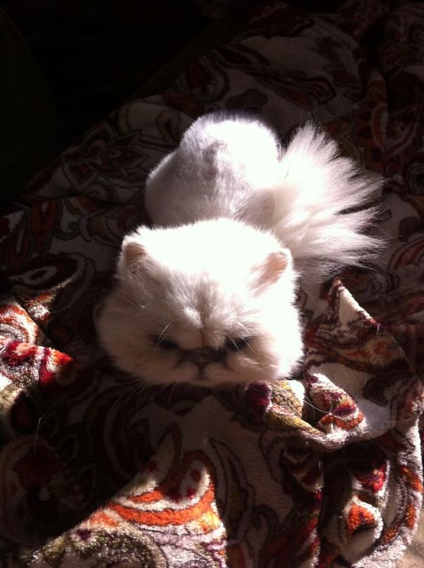 Ms Farrah Faucet Enjoys An Moment In The Sunlight