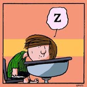 sapphicphoenix avatar