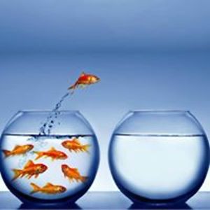 pietersen_phil avatar