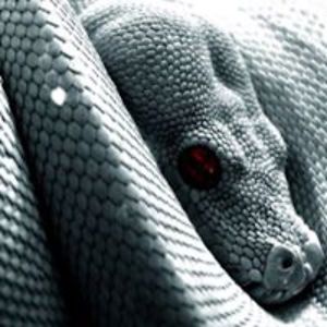 adam_wasniewski avatar