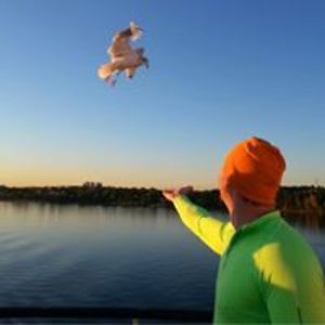 vilmantas_petronis avatar