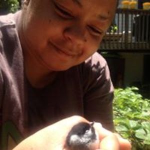 sacredwatrfals avatar