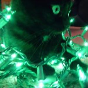 peppermint_60 avatar