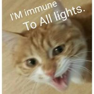 chunyanyang01 avatar