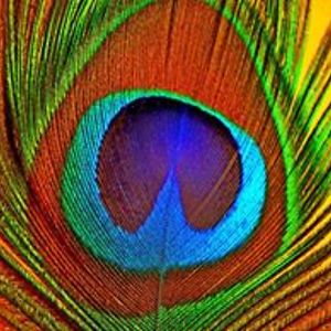 cheriebarker53 avatar