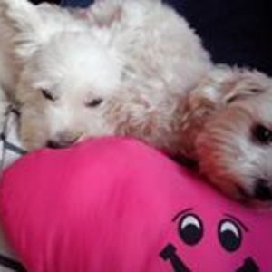 ctina_soriano avatar