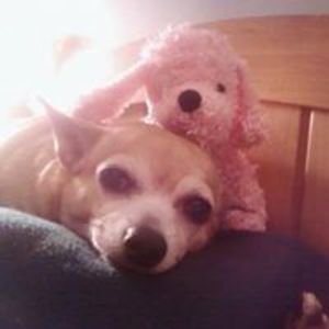 sandra_mccarthy avatar