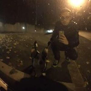 santiago_robles avatar