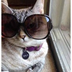 ring_sting1234 avatar