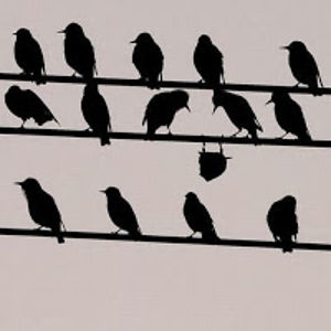 h_neillaugustine avatar