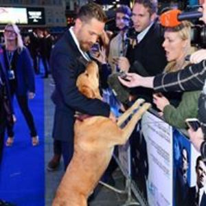 magic_magic_magic_magic avatar