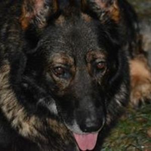 cj_sanderson_16 avatar