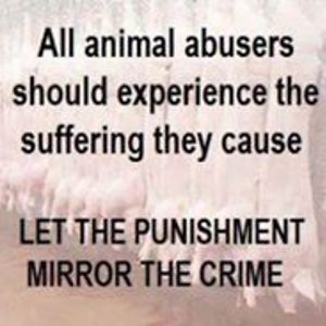 animal-voices avatar