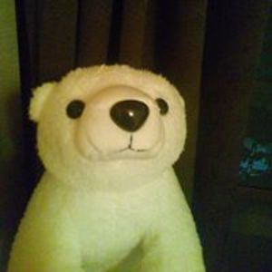 daniel_bjornstrom avatar