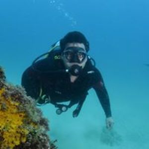 raphaellbertozzi avatar