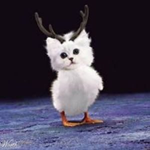 marina_brosenbauer avatar