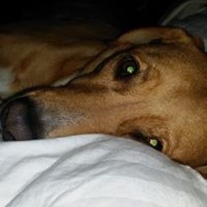 merrittefchandler avatar