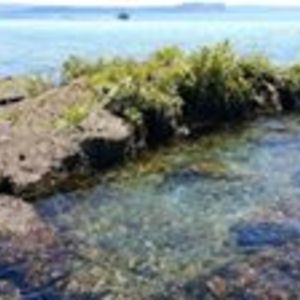 damian_barrett avatar