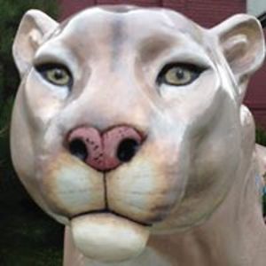 everleystpeter avatar