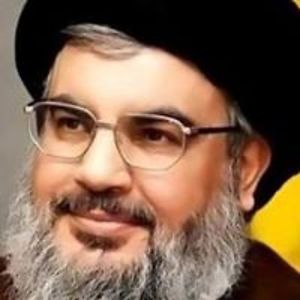 alimohammadahmadi avatar