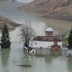 ruzicamaximovic avatar