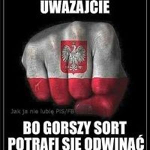 olga_galecka2 avatar